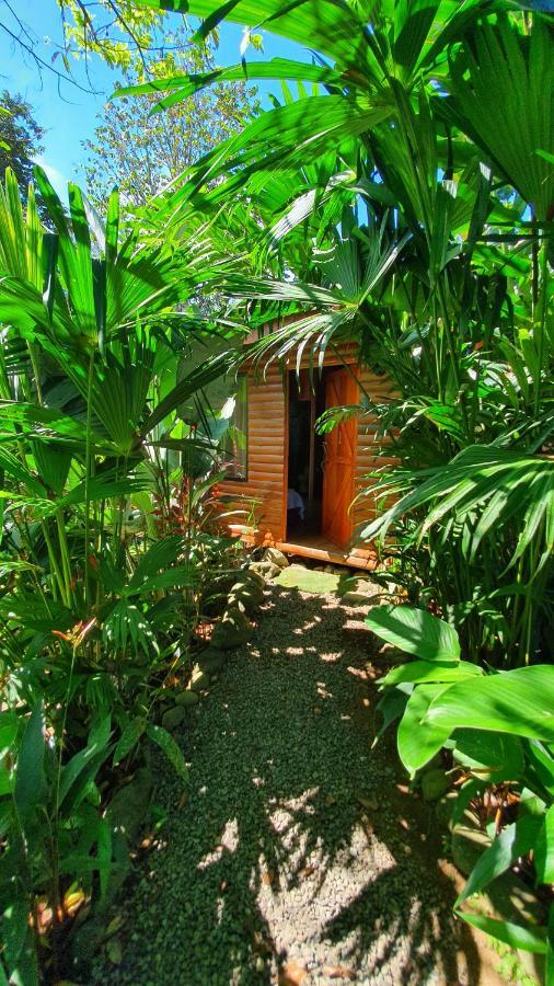 Arenal Rustic Lodge Alajuela Exterior photo
