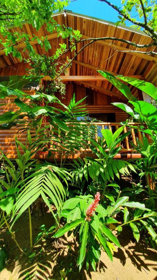 Arenal Rustic Lodge Alajuela Exterior photo